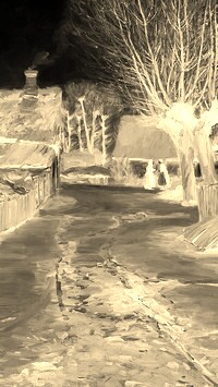Sepia + Negatyw