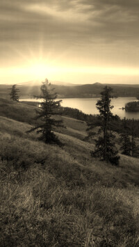Szary + Sepia