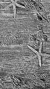 Skamielina