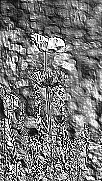 Skamielina