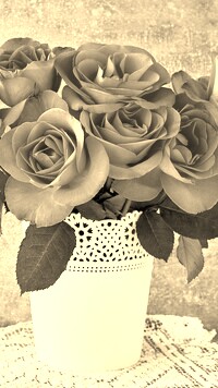 Szary + Sepia