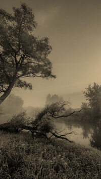 Szary + Sepia