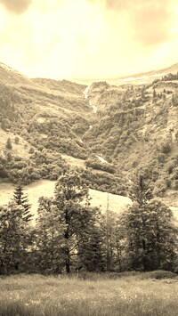 Sepia