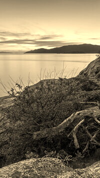Szary + Sepia