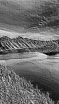 Skamielina