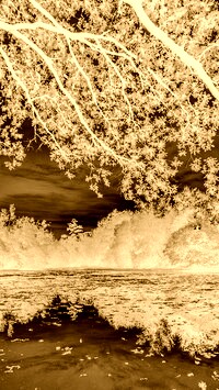 Sepia + Negatyw