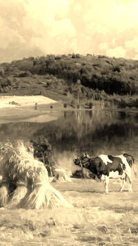 Szary + Sepia