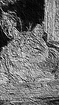 Skamielina