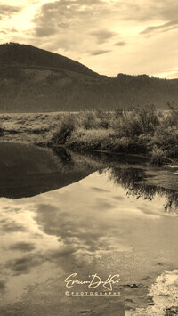 Szary + Sepia
