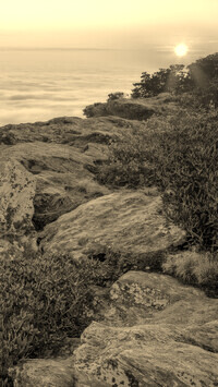 Szary + Sepia