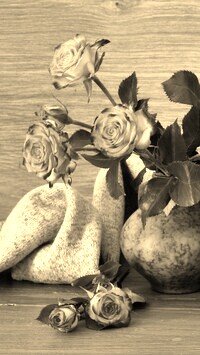 Szary + Sepia