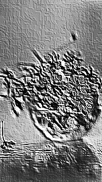 Skamielina