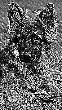 Skamielina