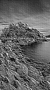 Skamielina