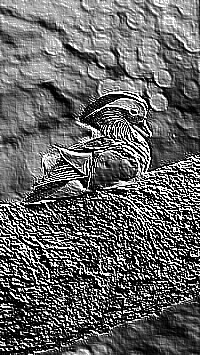 Skamielina