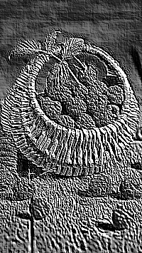 Skamielina