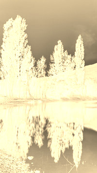 Sepia + Negatyw