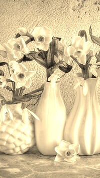 Szary + Sepia