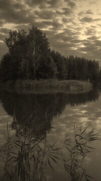 Sepia