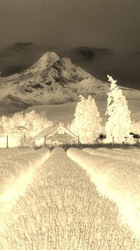Sepia + Negatyw