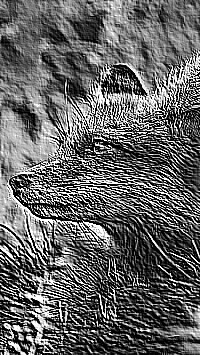 Skamielina