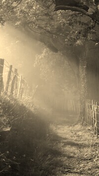 Szary + Sepia