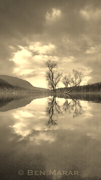 Sepia