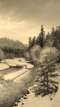 Sepia