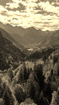 Sepia