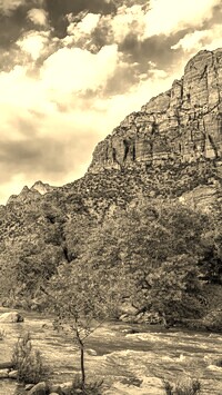 Sepia