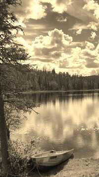 Sepia