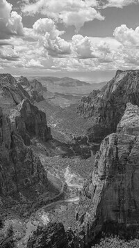 Szary