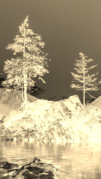 Sepia + Negatyw
