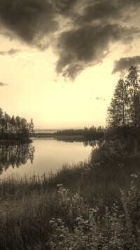 Sepia