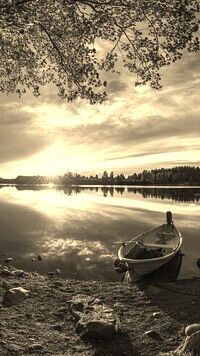 Szary + Sepia