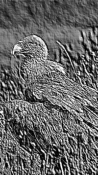 Skamielina