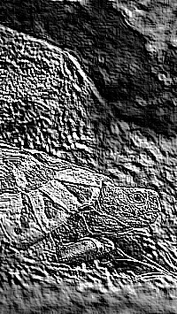 Skamielina
