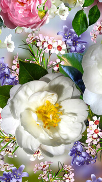 Oryginalny obrazek