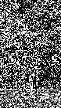 Skamielina