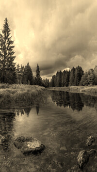 Sepia
