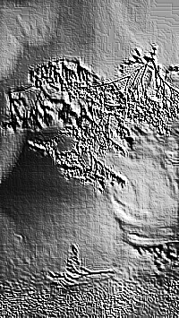 Skamielina