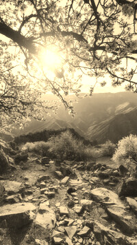 Sepia
