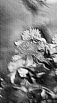 Skamielina