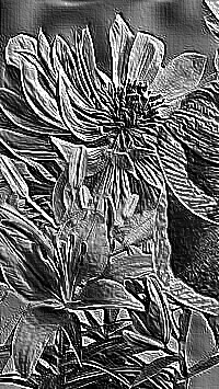 Skamielina