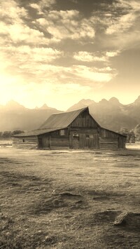 Szary + Sepia
