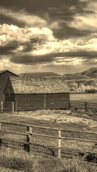 Szary + Sepia