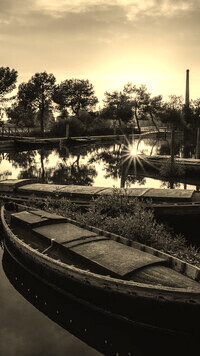 Szary + Sepia