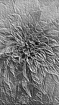 Skamielina