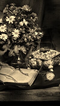 Szary + Sepia