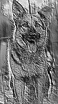 Skamielina